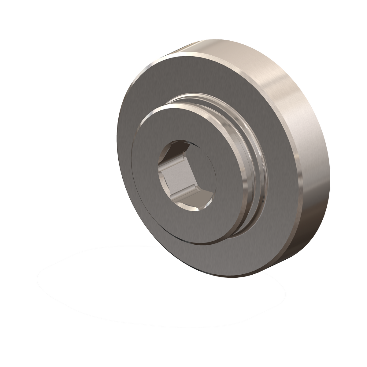 Adjustment Screw
